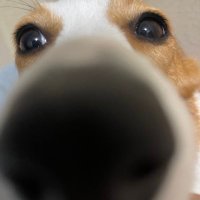 Jackson revoh OSU (@ryaa_nnnn) 's Twitter Profile Photo