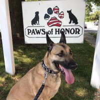 Paws of Honor(@PawsOfHonorK9s) 's Twitter Profile Photo