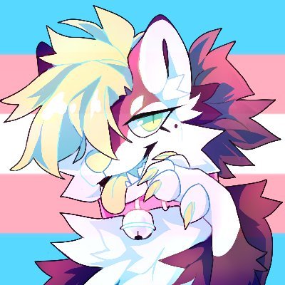 Samさんのプロフィール画像