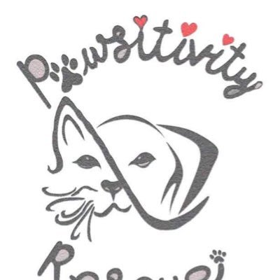 Pawsitivity Rescue Inc 501c3 is a voice for unwanted, abandoned, abused, or stray animals.
