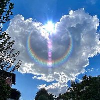 God Trumps Satan (@rubiconbridge9) 's Twitter Profile Photo God Trumps Satan (@rubiconbridge9) 's Twitter Profile Photo