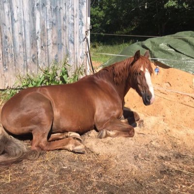 KatieShand8's profile picture. 