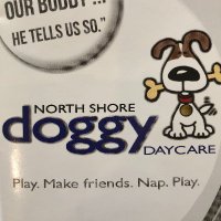 North Shore Doggy Daycare MKE WI(@NSDoggyDaycare) 's Twitter Profile Photo