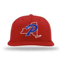 Premier Baseball of WNY (@wnypremierball) 's Twitter Profile Photo Premier Baseball of WNY (@wnypremierball) 's Twitter Profile Photo