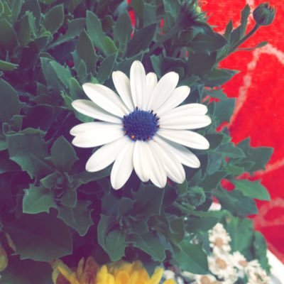 الله مقسّم الأرزاق،وهو كاشف الهموم والغموم وعنده الفَرَج،وبيده النفع والضّر.