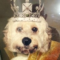 Michael #FBPE #GTTO #followbackfriday (@mgm5353) 's Twitter Profile Photo Michael #FBPE #GTTO #followbackfriday (@mgm5353) 's Twitter Profile Photo