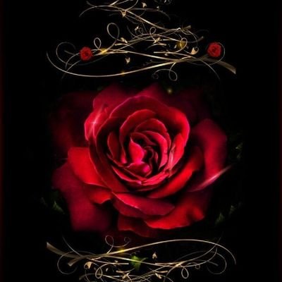 Retired Disabled Veteran, Breast Cancer Survivor, Nonprofit Founder/Owner, God Fearing, Mother, Wife, Community Activist, Veteran Activist, Giver, Sagittarius♐