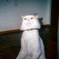 amo (@_axmxox_) 's Twitter Profile Photo amo (@_axmxox_) 's Twitter Profile Photo