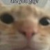 Michael Williams (@thegayguyulove) Twitter profile photo Michael Williams (@thegayguyulove) Twitter profile photo