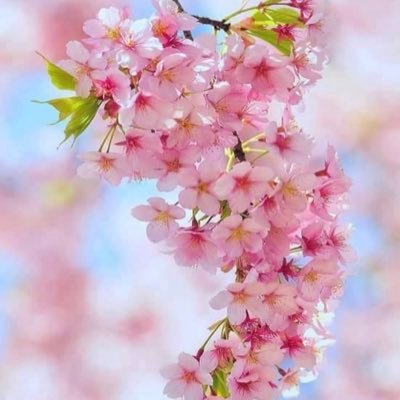 jouriah1478's profile picture. 