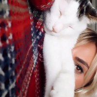 mikininannesi🐱 (@elmassonmez) Twitter profile photo
