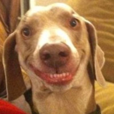 filledshorts's profile picture. increasing shareholder value - one take at a time