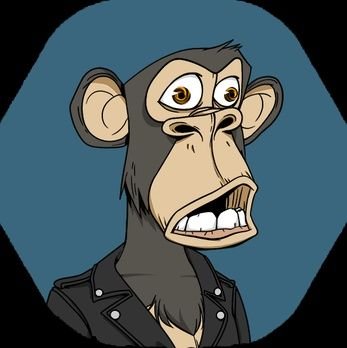 bertenator's profile picture. 