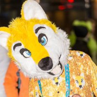Goldenwolf the twinkiewolf (@goldenwolf2879) 's Twitter Profile