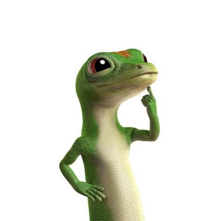 rickreptiles's profile picture. reptiles breeder🐍🦎 🇮🇹