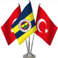 d.ali💛🇹🇷🇨🇭💙 (@kanaryam2020) 's Twitter Profile