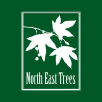 North East Trees (@northeasttrees) 's Twitter Profile