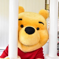 あや (@____ayako____) 's Twitter Profile Photo