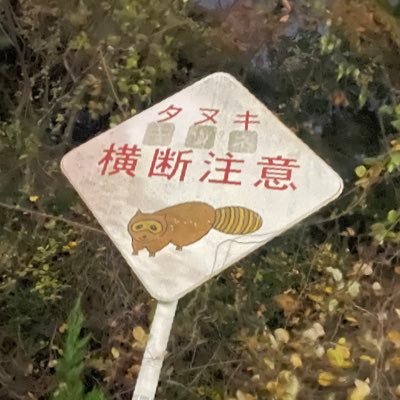 hamiichyandoesu's profile picture. 株初心者です。