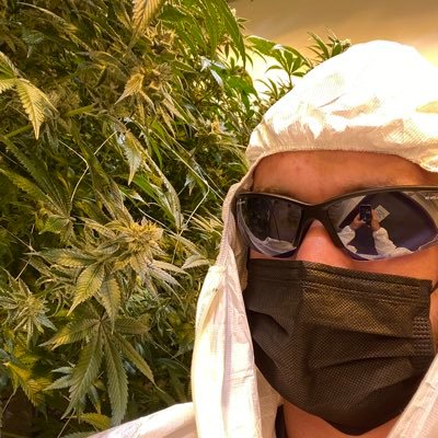 doonieduster's profile picture. future farmer of smokeable items - UGA 21 hort grad - MOB - go mf dawgs