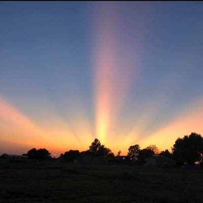 TraderJo19's profile picture. a mom.

“You either walk inside your story and own it or you stand outside your story and hustle for your worthiness.” -Brené Brown