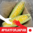 iPopcorn_
