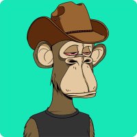 SquidDAO (@squiddao) 's Twitter Profile