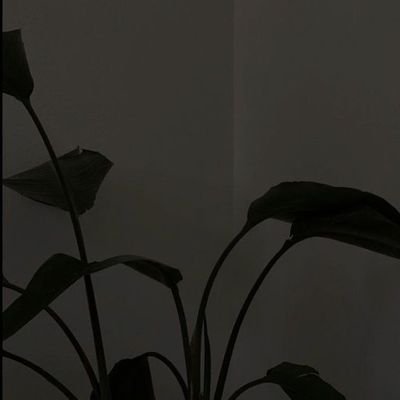 Iѕα ; 🌻¹⁹さんのプロフィール画像