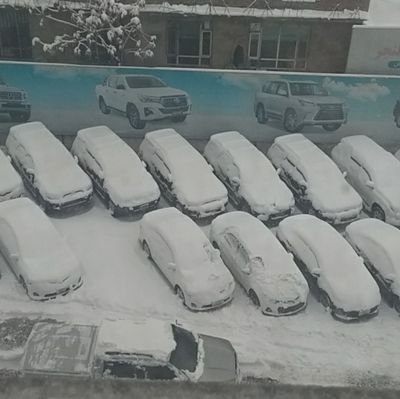 sarvar96404804's profile picture. .