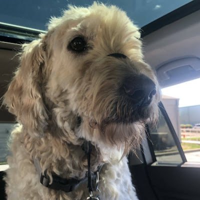 GavinGrundei's profile picture. 