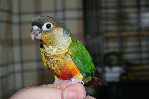 michellemickl's profile picture. 