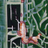 psilociben's profile image