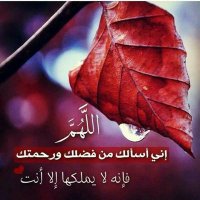 حيدره العولقي (@abcde9558) 's Twitter Profile