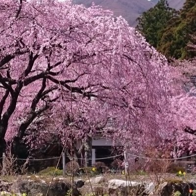 mCLSMS9zzgJYxTG's profile picture. 