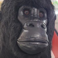 David198733 (@david373891) 's Twitter Profile