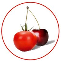 Sophie Charlier (@tomatecerise_be) 's Twitter Profile