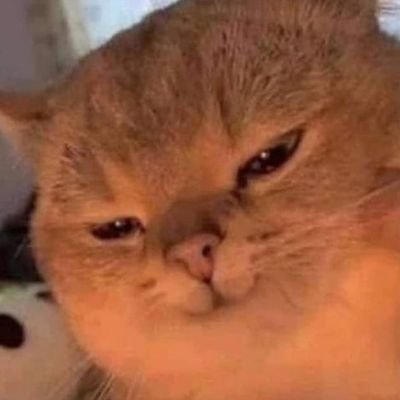 rgniner6's profile picture. 