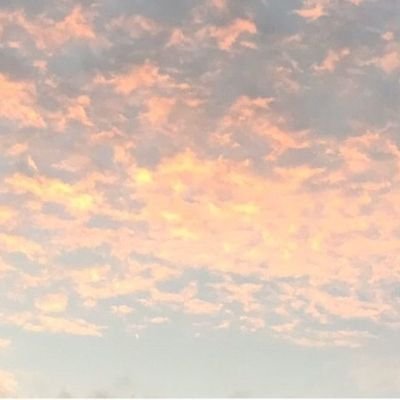 iSISvQ52T4Jqi2R's profile picture. 100円ショップ大好き人間。