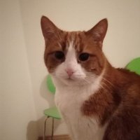 Inge (@inge90468676) 's Twitter Profile Photo