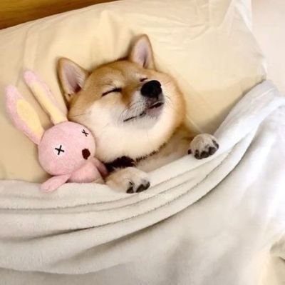 jadeja_23's profile picture. my investment are with great companies #HYPE