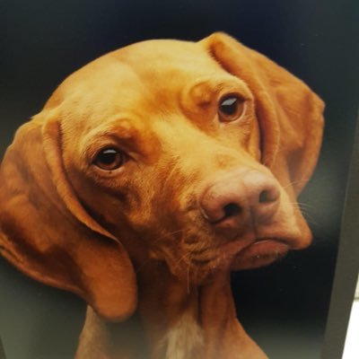 Area Director Just Mortgages Self Employed Division