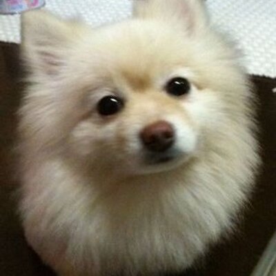 ツカちゃん カンブリア宮殿久々観たら 村上龍がすごく老けてる 病気でもしたの
