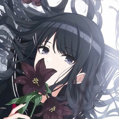 Sha11vveE's profile picture. ｜Chinese student｜UTC+9｜ACG｜Apple｜ Language：English→Chinese→Japanese poor｜