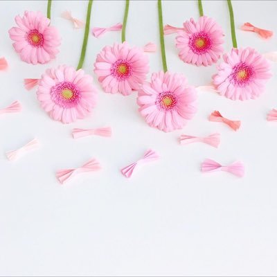 Mai65568283's profile picture. 