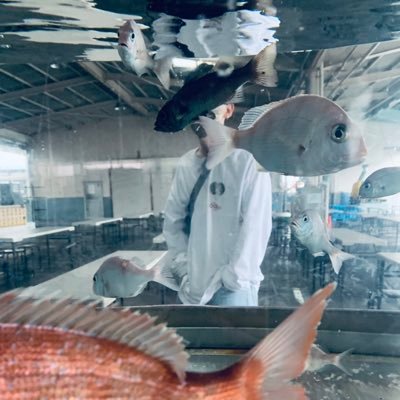 New Kさんのプロフィール画像