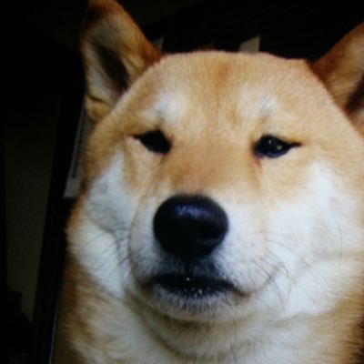 ruoongsong's profile picture. たぶん社労士です。  なんくるないさぁ