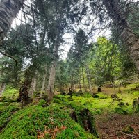 JosePG (@josepg1976) 's Twitter Profile