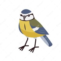 Thomas Titmouse (@thomastitmouse) 's Twitter Profile Photo