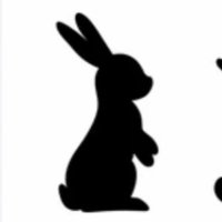 あの時も、ボッチ (@rabbitusagi_usa) 's Twitter Profile