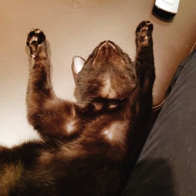 147359jp's profile picture. 